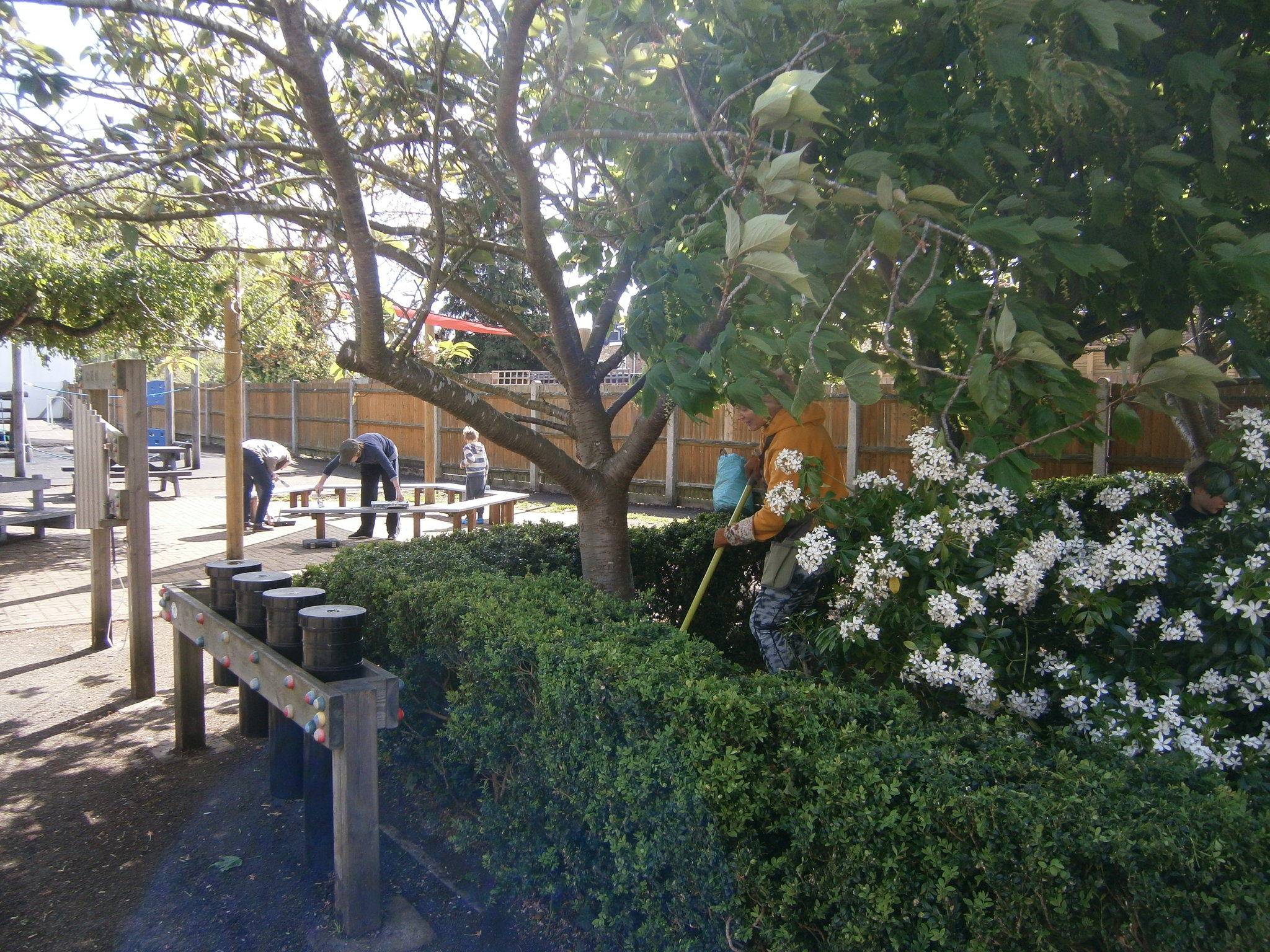 Image of TSSSA Volunteers help tidy the school grounds