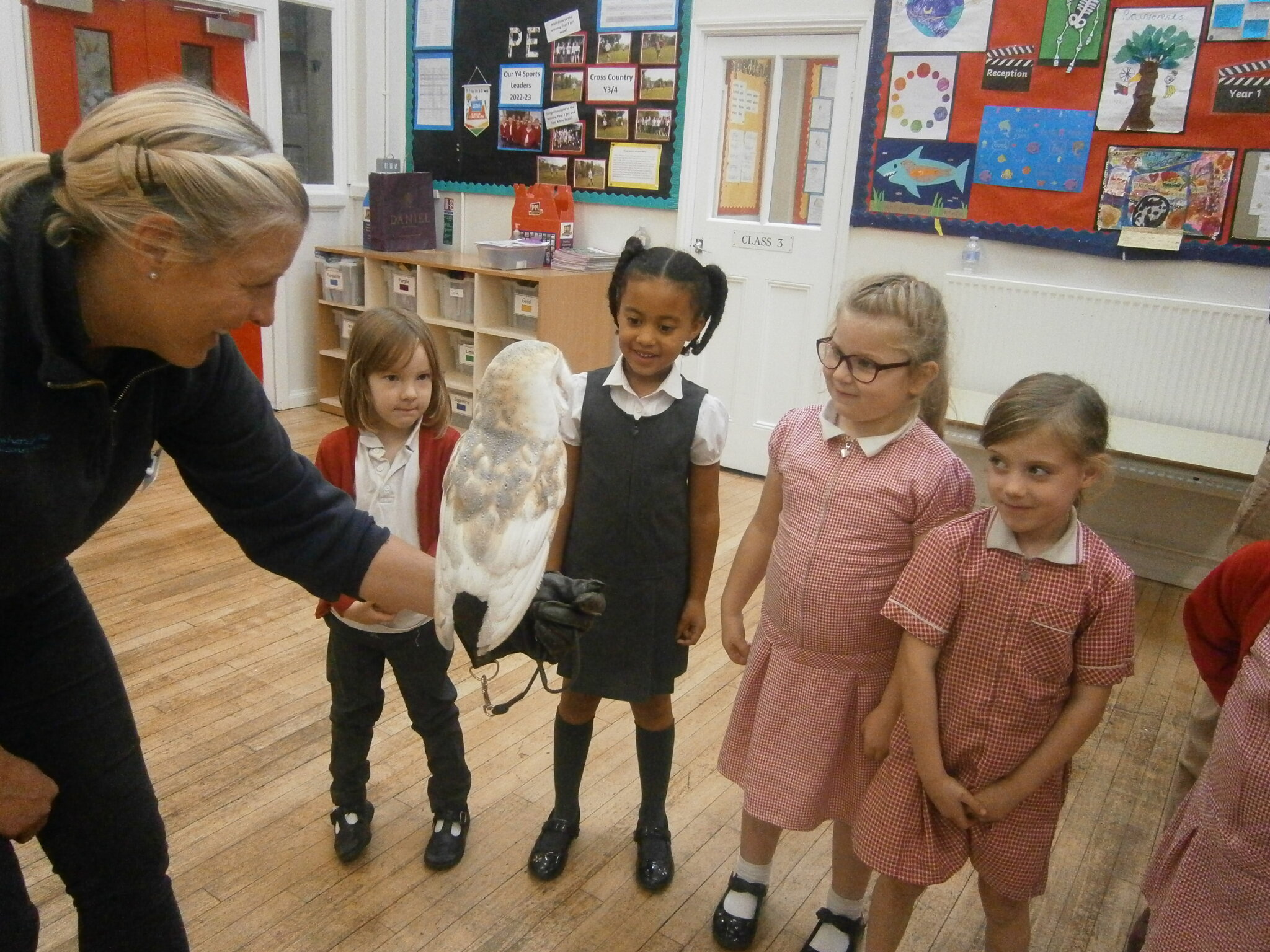 Image of Year 1 Owl Visit 