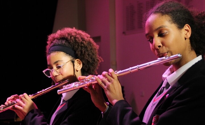 Image of Chamber Concert