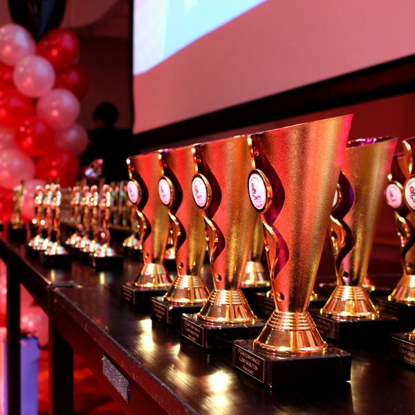 Image of Performance Awards Evening 2015