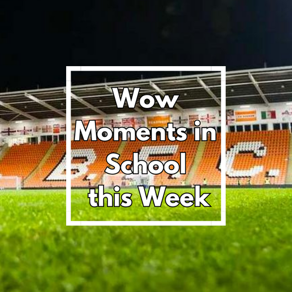 Image of Wow Moments in School this Week