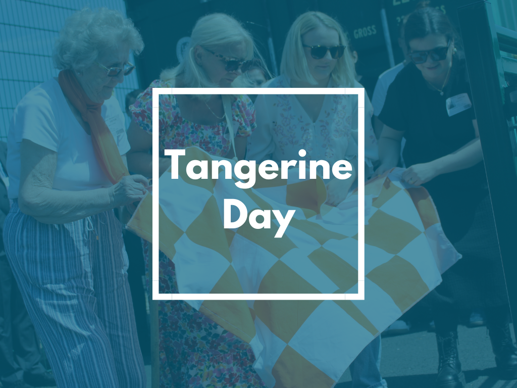 Image of Tangerine Day