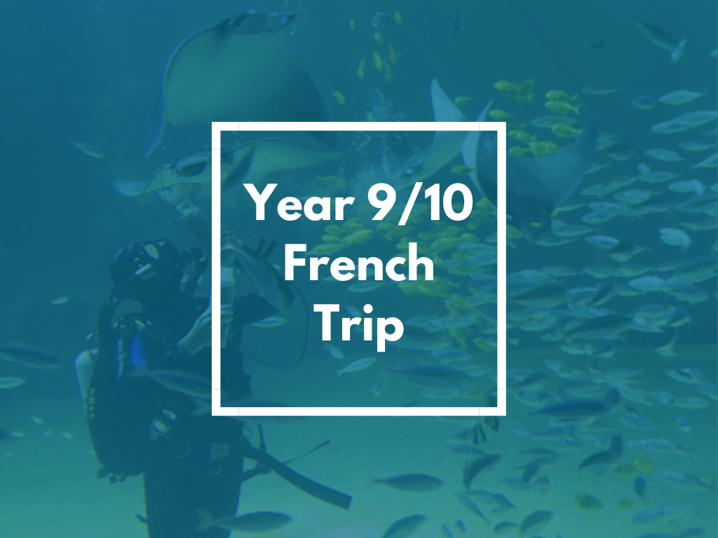 Image of 34 year 9 and 10 students went to France