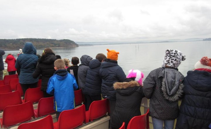 Image of Year 6 Birdwatching Trip to Poole Harbour