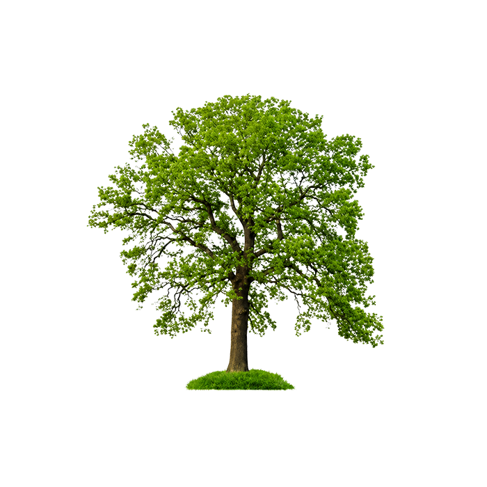 Upton Junior School
