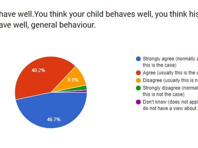 Image of Individual Results for each Question