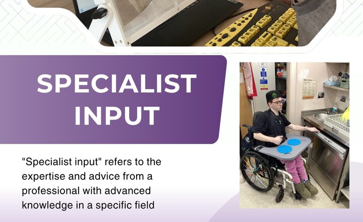 Image of Specialist Input