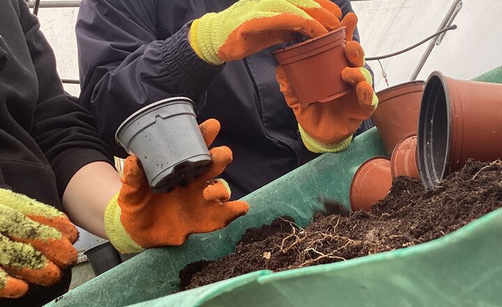 Image of PACE 5 Learners Got Their Hands Dirty Today!