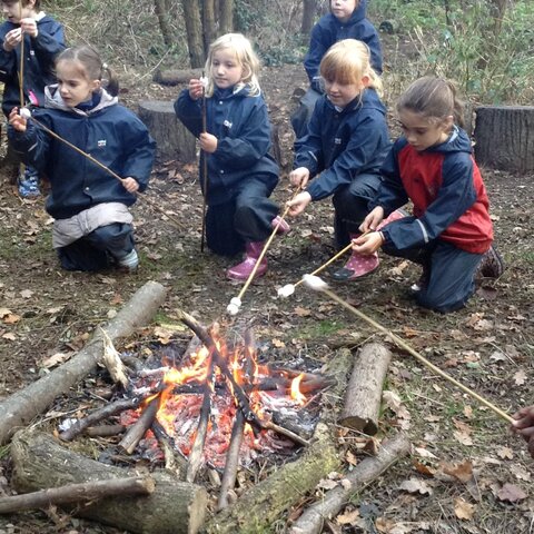 3DH Forest School Camp Fire | Valley Primary School