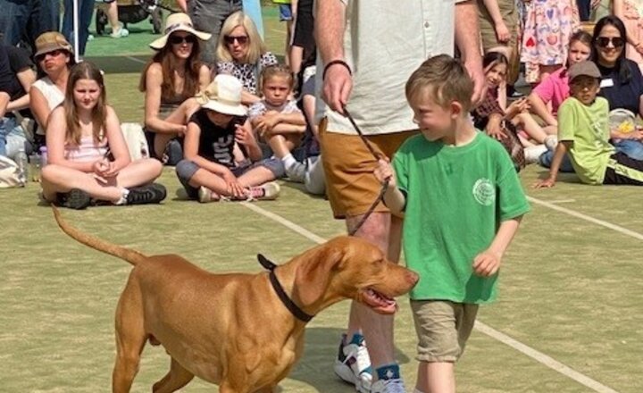 Image of Shortlands Market / PTA Dog Show