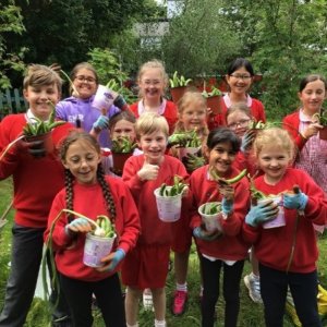 Image of Gardening Club Register Open for Signing up for Places from 7pm Tonight