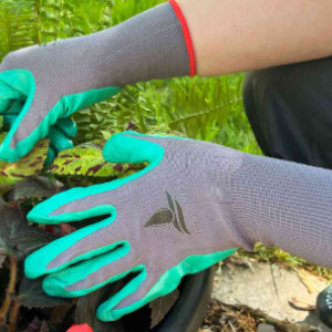 Image of Record Numbers Attended Gardening Lunchtime Club this Week - Gloves needed