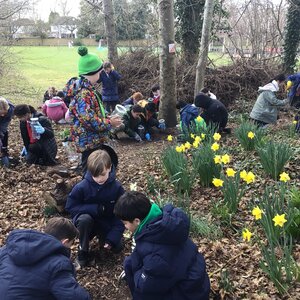 Image of British Science Week 2025