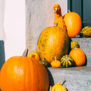 Image of Well Done to Pumpkin Competition Winners
