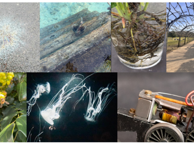 Image of British Science Week Photo Competition Launches Monday 9th March 2026