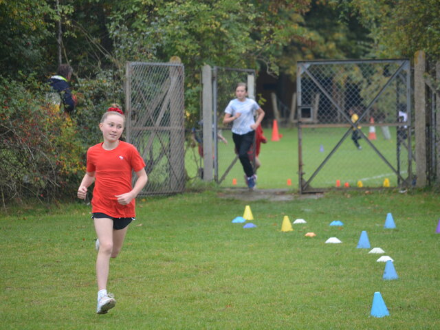 Image of Well done to all the cross country runners today