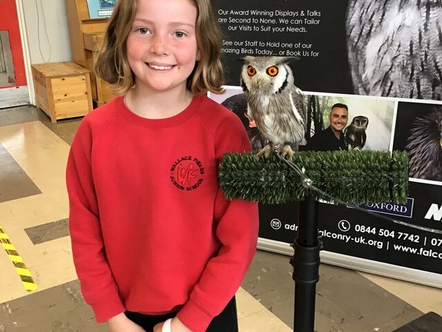 Image of Outdoor Learning Week and Falconry visit