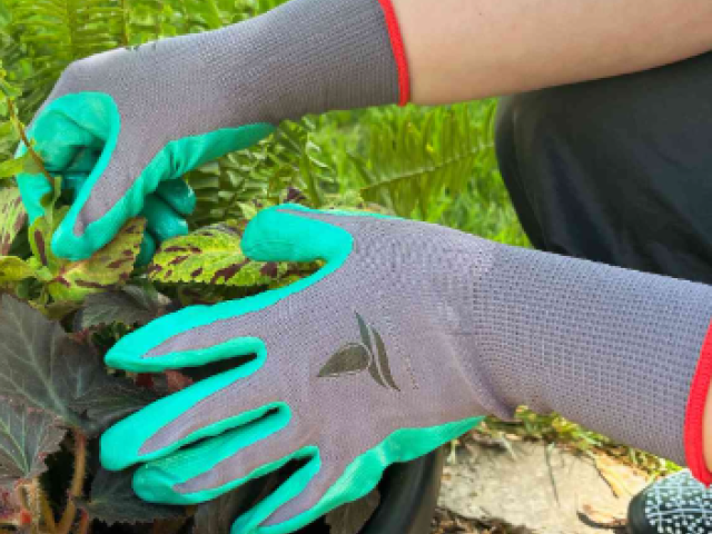 Image of Record Numbers Attended Gardening Lunchtime Club this Week - Gloves needed