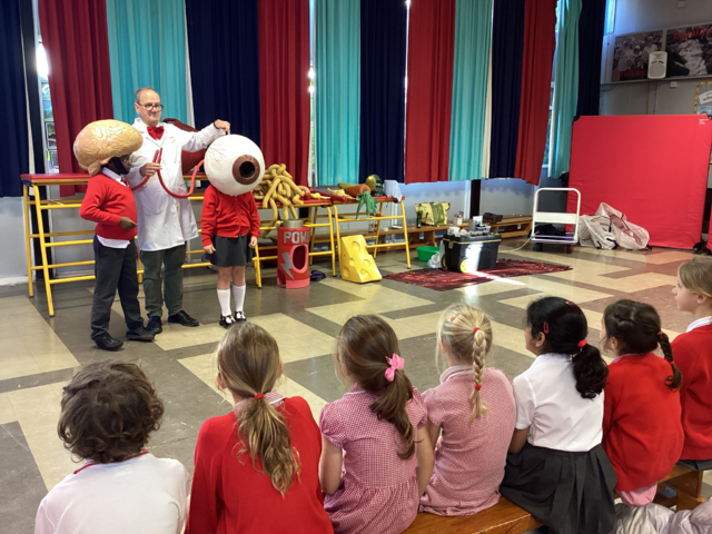 Image of Year 3 Learning All About the Amazing Human Body