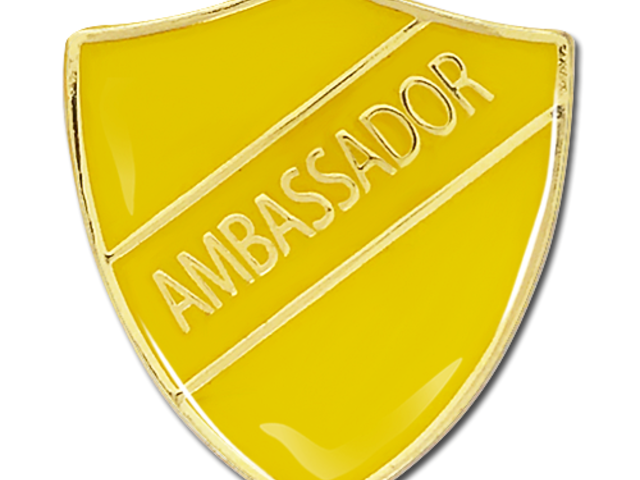 Image of Year 6 School Ambassador Positions Advertised