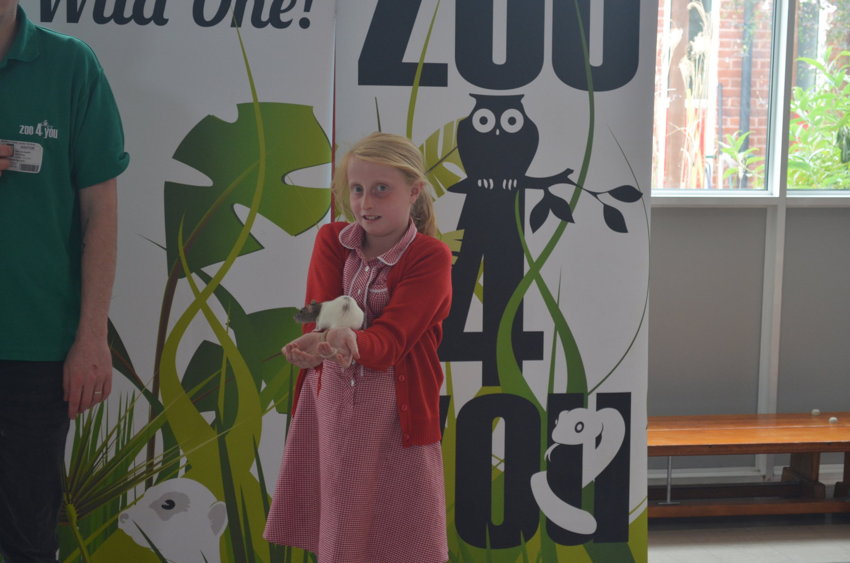 Image of Outdoor learning and Zoo visit