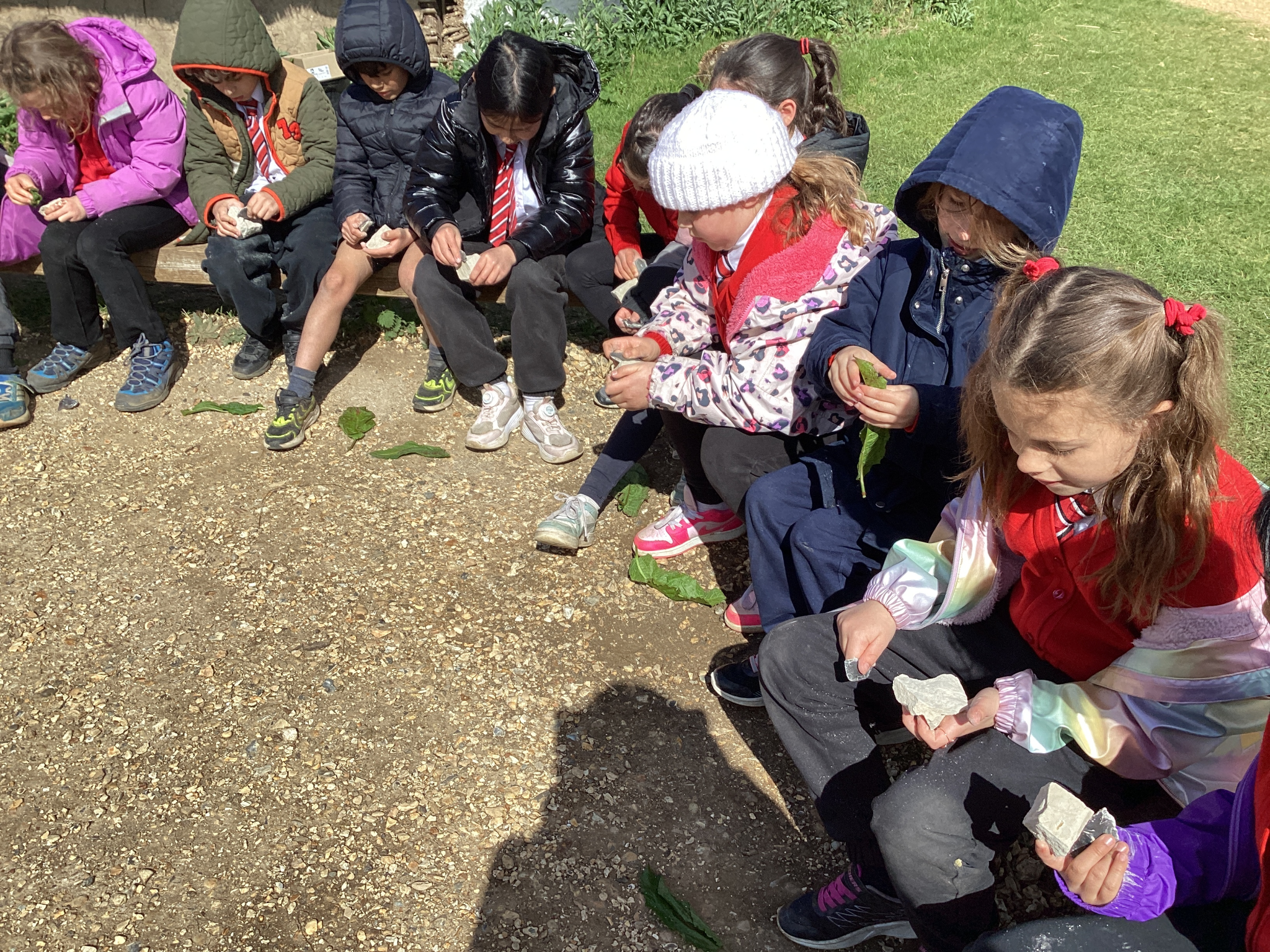 Image of Year 3 Trip to Butser Ancient Farm