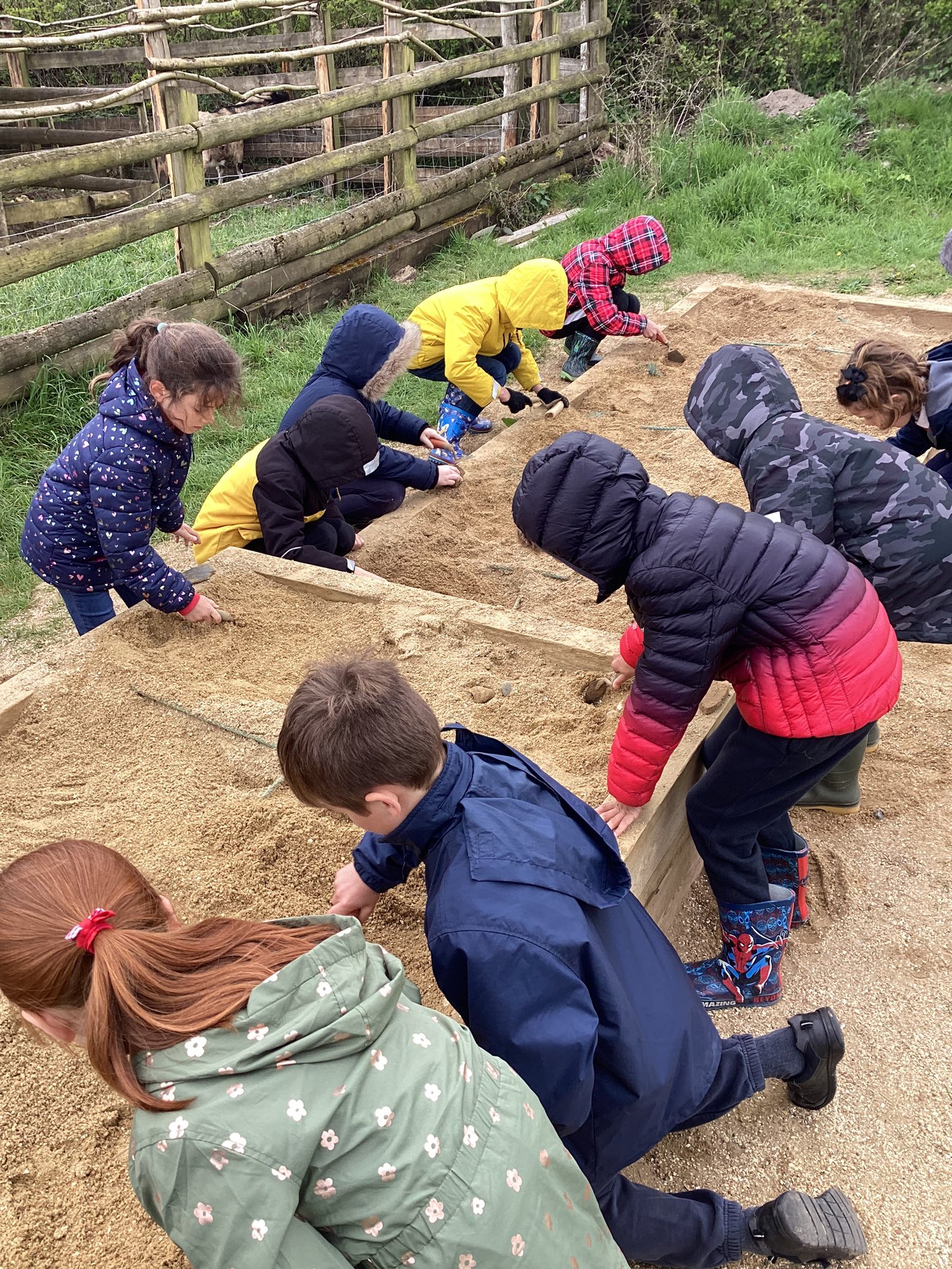 Image of Year 3 Trip to Butser Farm