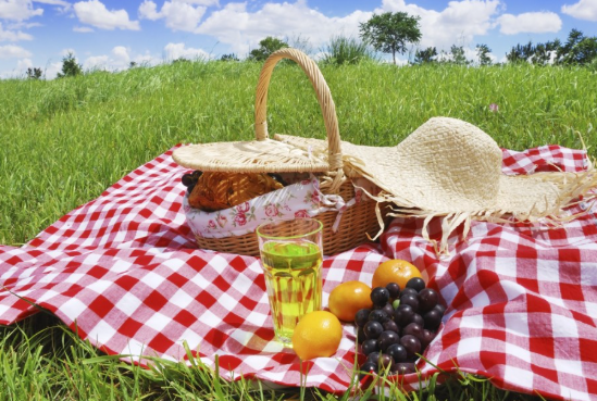 Image of Young Carers Picnic Adventure