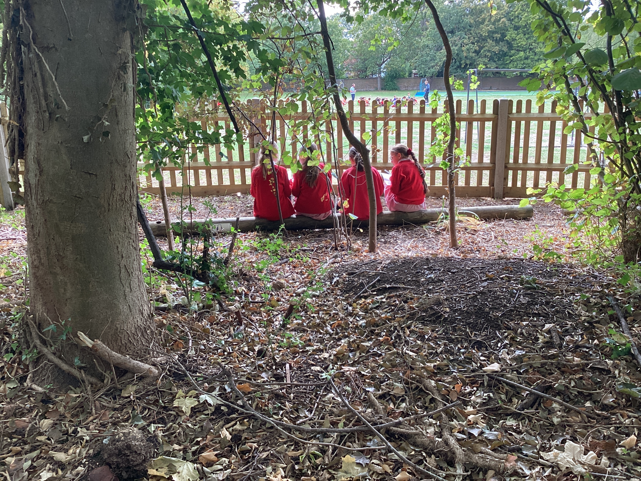 Image of Outdoor Learning Area Grand Opening - £1 Go Green Mufti
