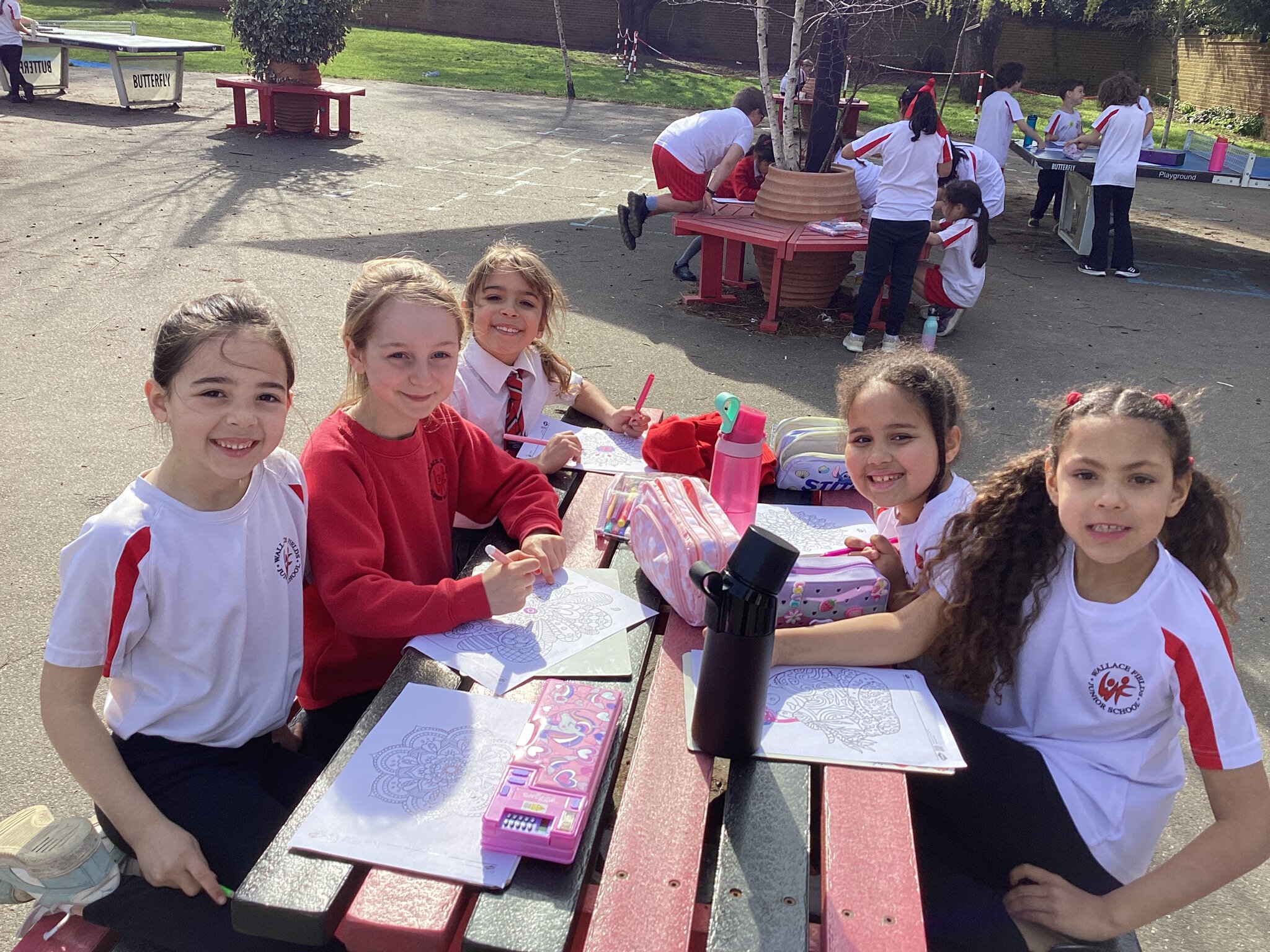 Image of Year 3 Enjoying Wellbeing Day