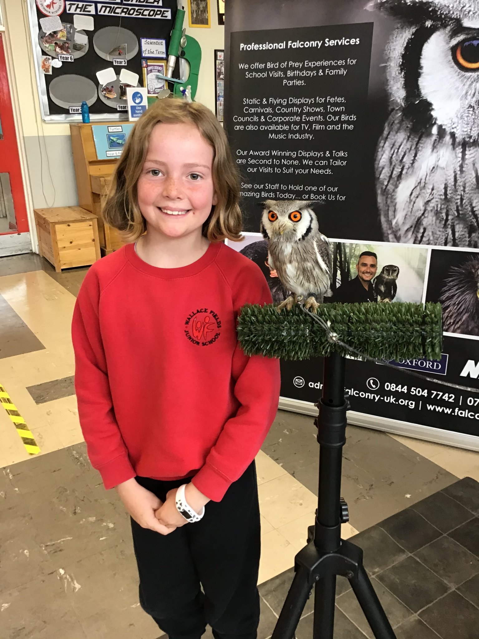 Image of Outdoor Learning Week and Falconry visit