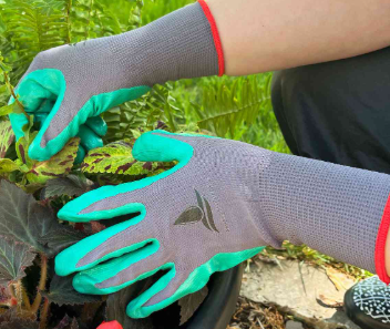Image of Record Numbers Attended Gardening Lunchtime Club this Week - Gloves needed