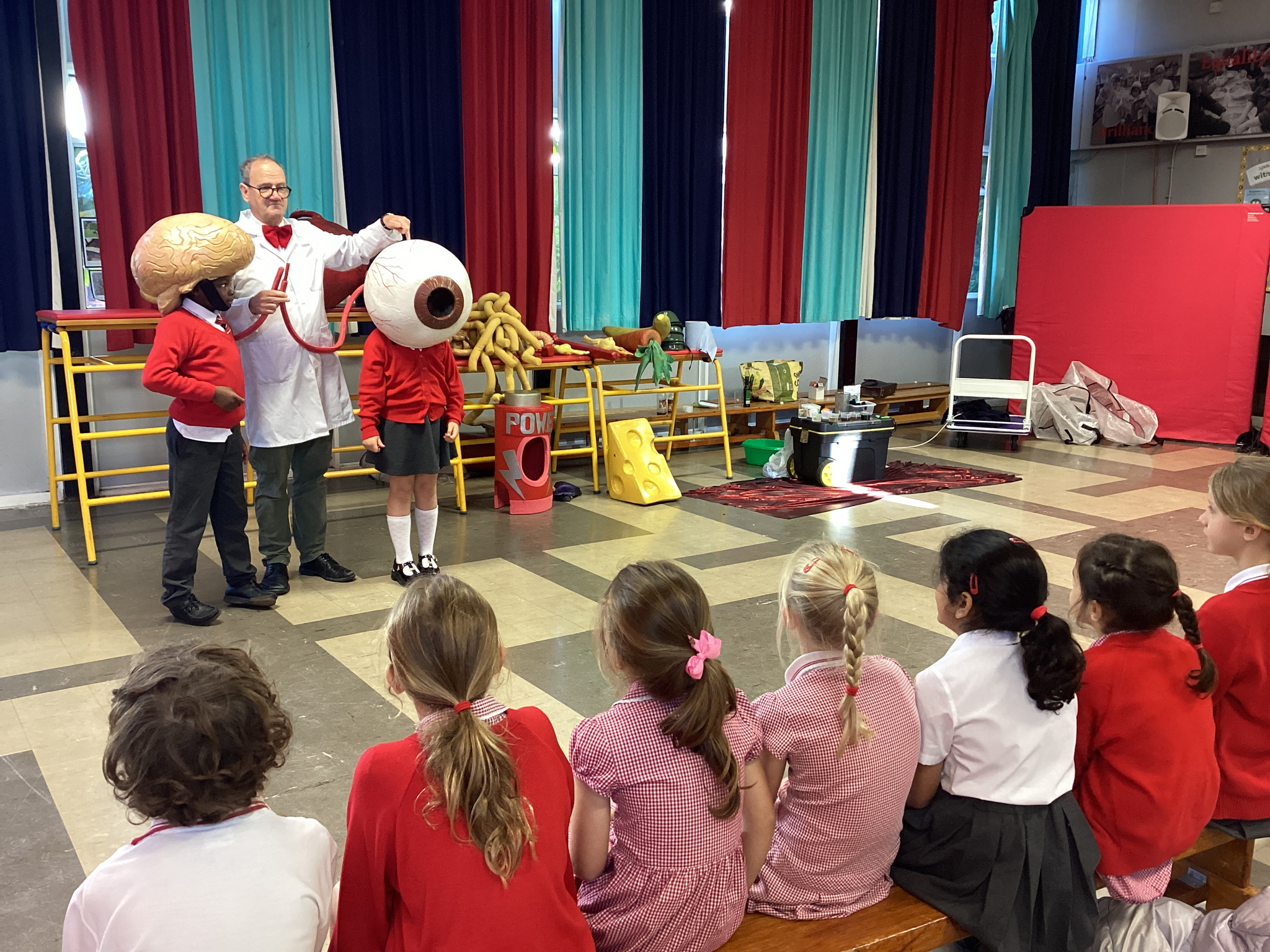 Image of Year 3 Learning All About the Amazing Human Body