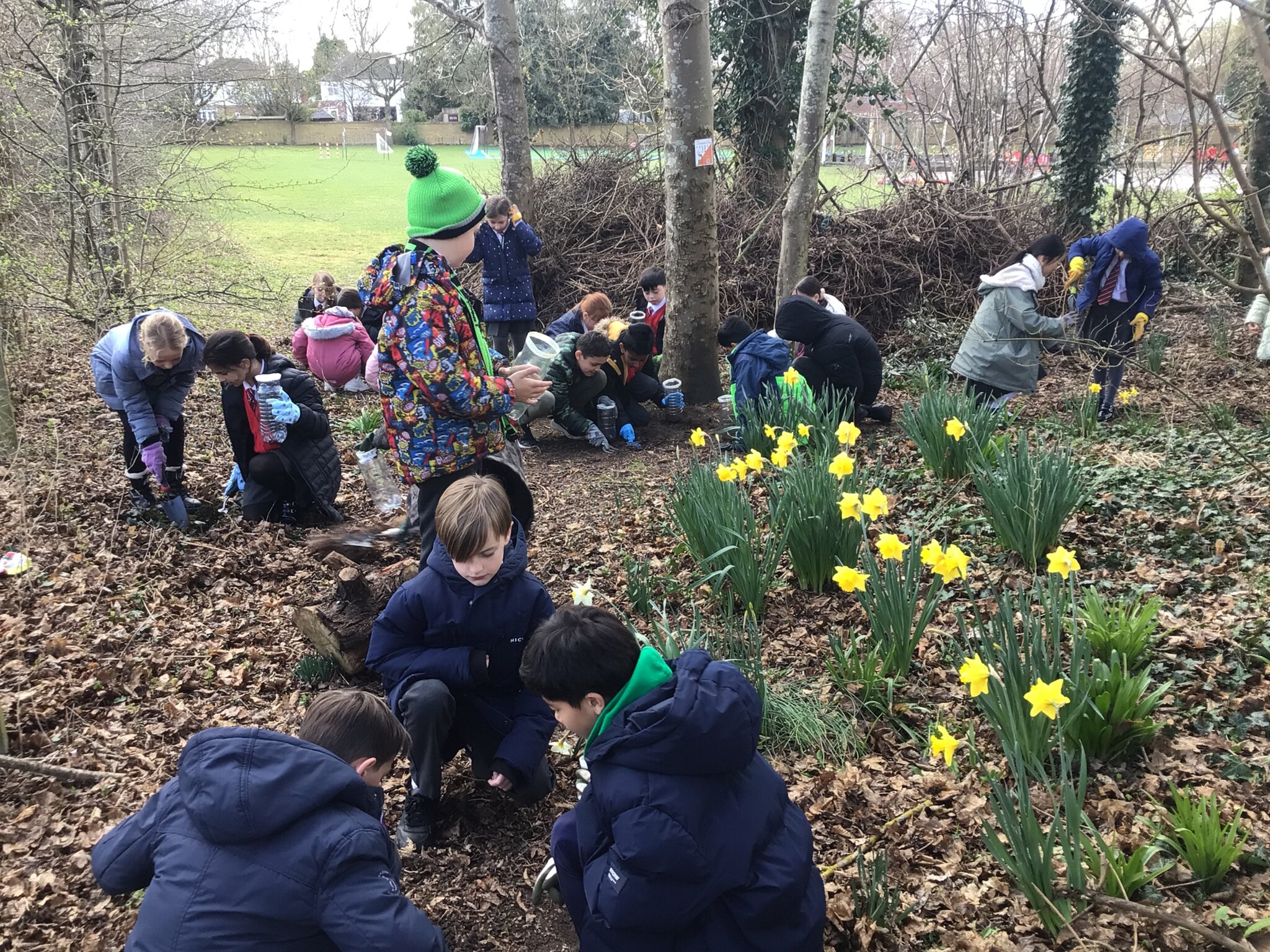 Image of British Science Week 2025