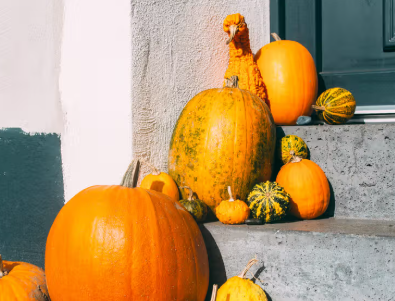 Image of Well Done to Pumpkin Competition Winners