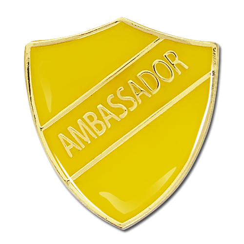 Image of Year 6 School Ambassador Positions Advertised