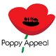 Image of We have raised £397.49 for The Royal British Legion Poppy Appeal