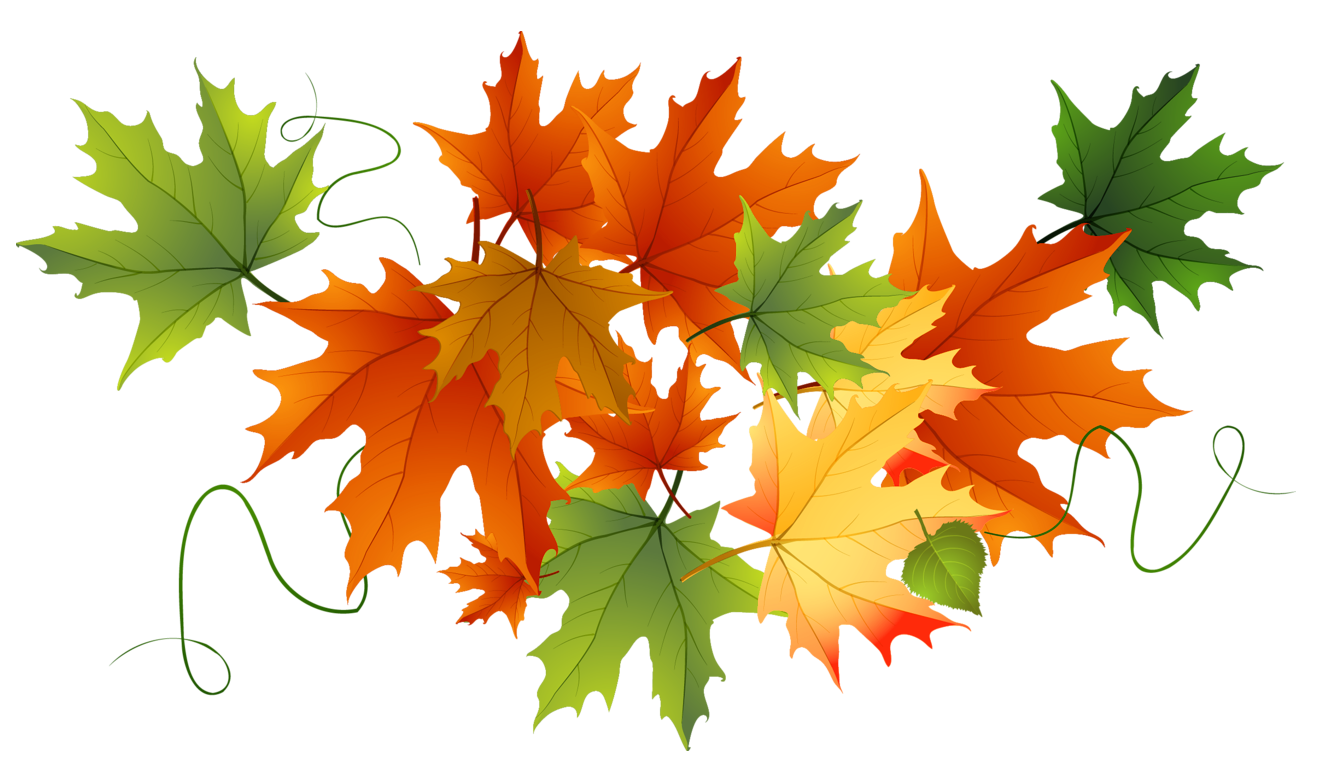 Image of October Half Term
