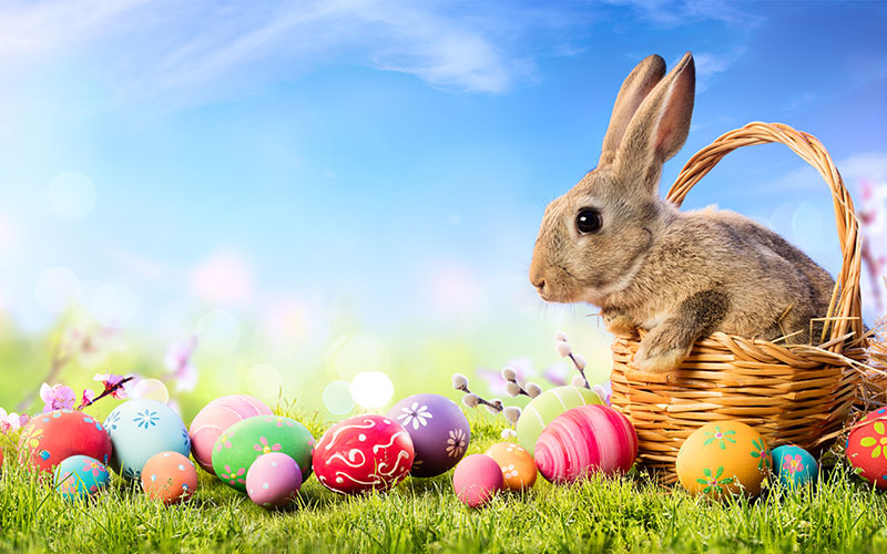 Image of Easter Holidays