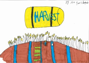 Image of School Harvest Service