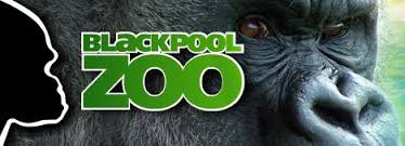 Image of Year 4 Visit to Blackpool Zoo