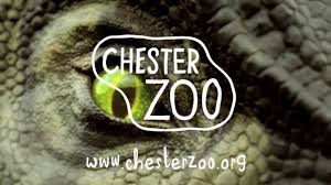 Image of Year 6 Chester Zoo Trip