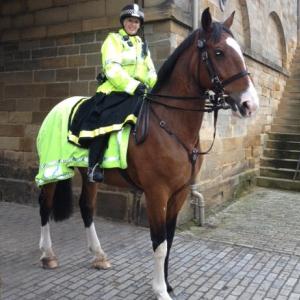 Image of Year 2 Trip to Chorlton Mounted Horse Unit