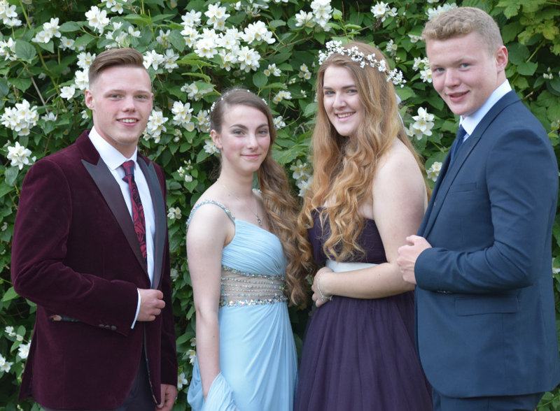 Image of PROM