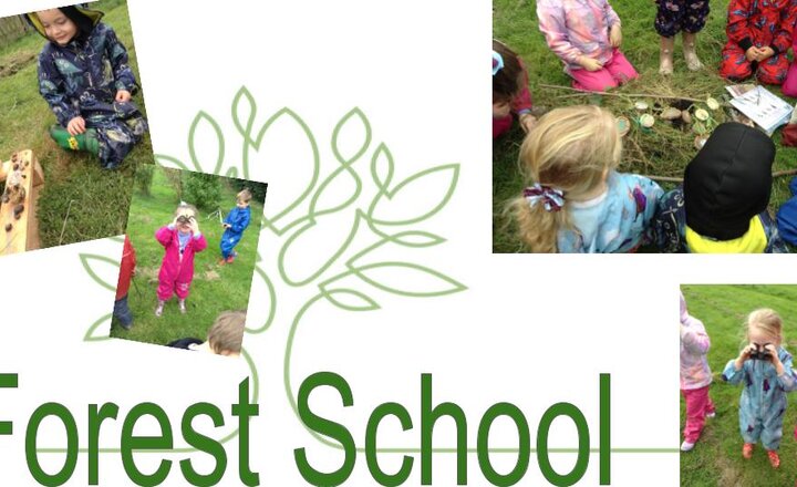 Image of EYFS Forest School 