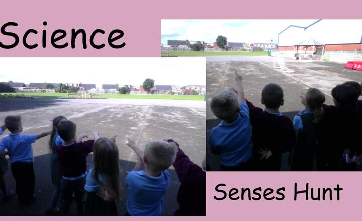 Image of Senses Hunt - Year One Science 