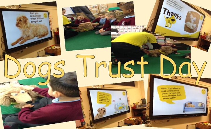 Image of Dogs Trust Day 