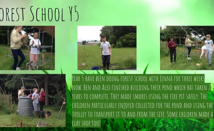 Image of Forest School - Year 5 