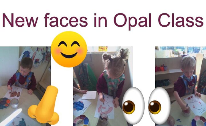 Image of New Faces - Opal Art 