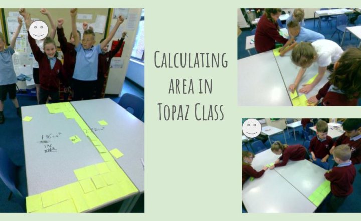 Image of Area - Topaz S Maths 